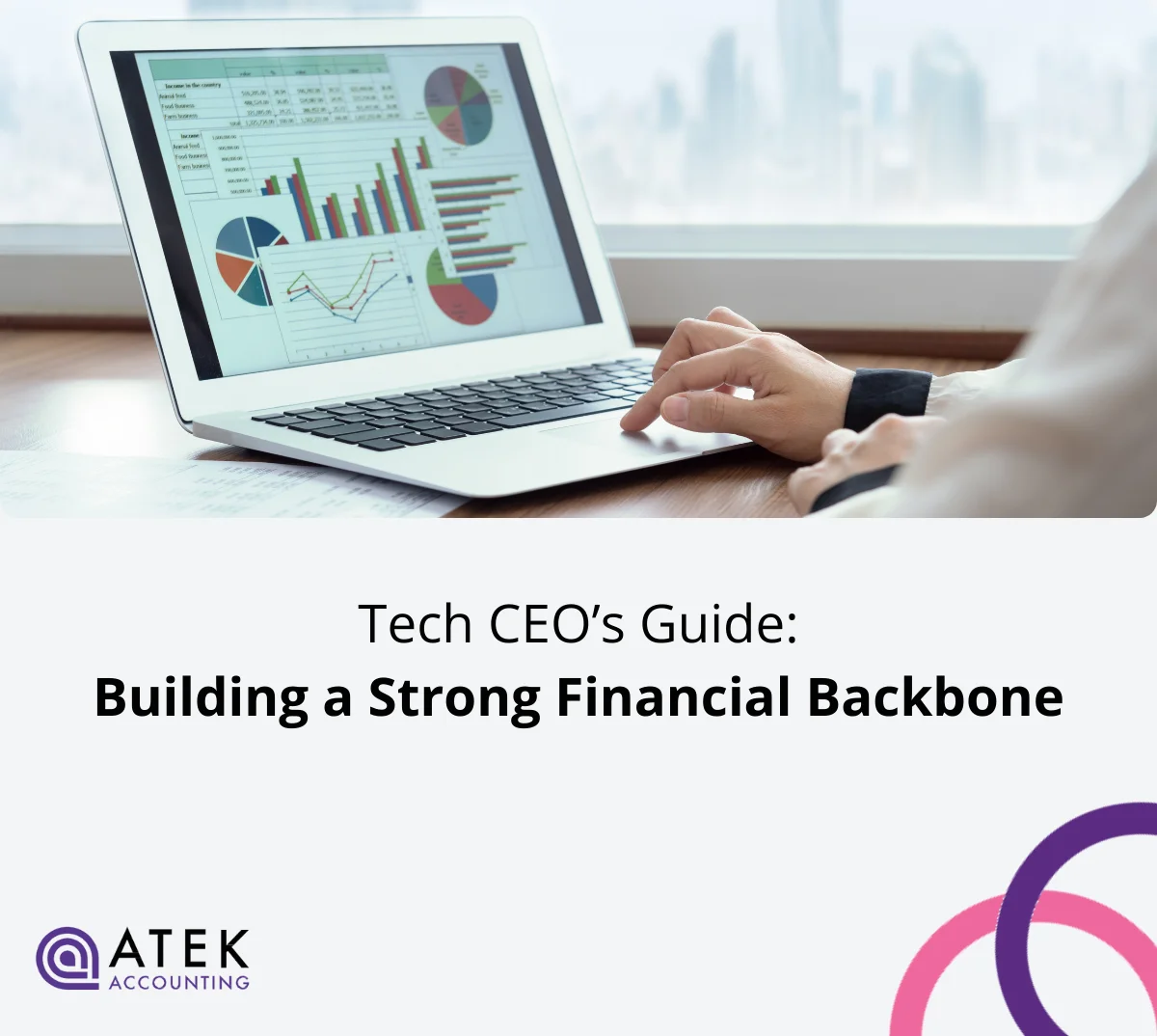 The Tech CEO’s Guide to Building a Strong Financial Backbone | Atek Accounting